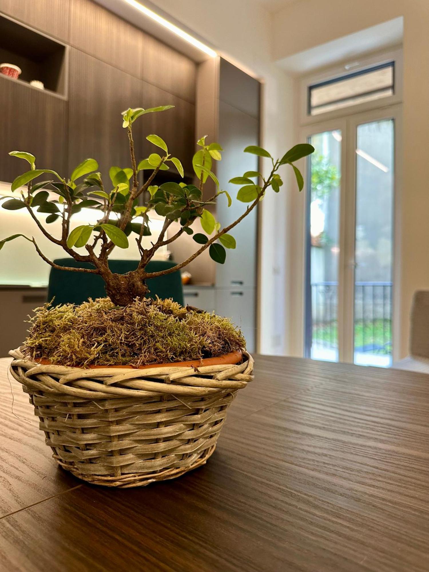 Appartement Lr Deluxe - Porta Venezia - Bilocale Con Giardino Privato